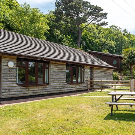 Watermouth Lodges 伊尔弗勒科姆 外观 照片