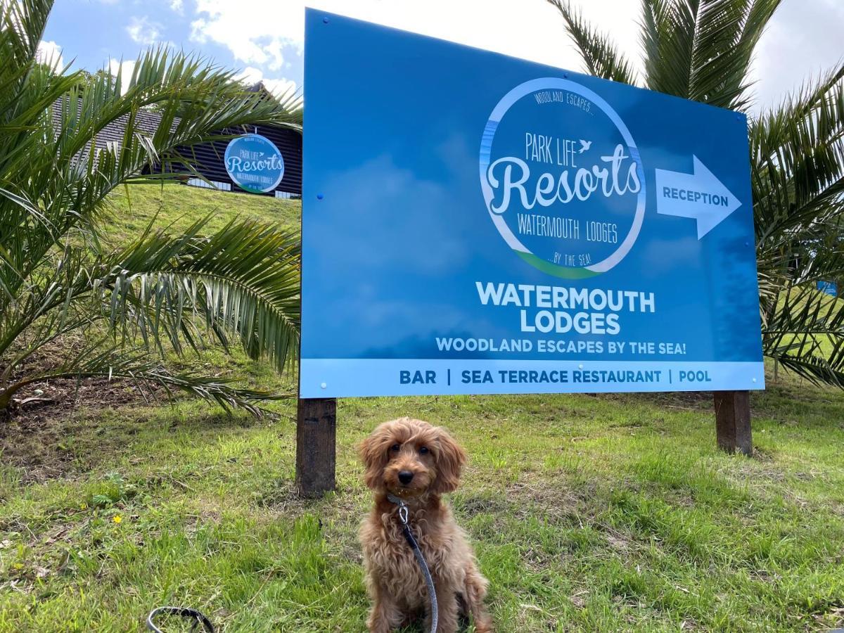 Watermouth Lodges 伊尔弗勒科姆 外观 照片