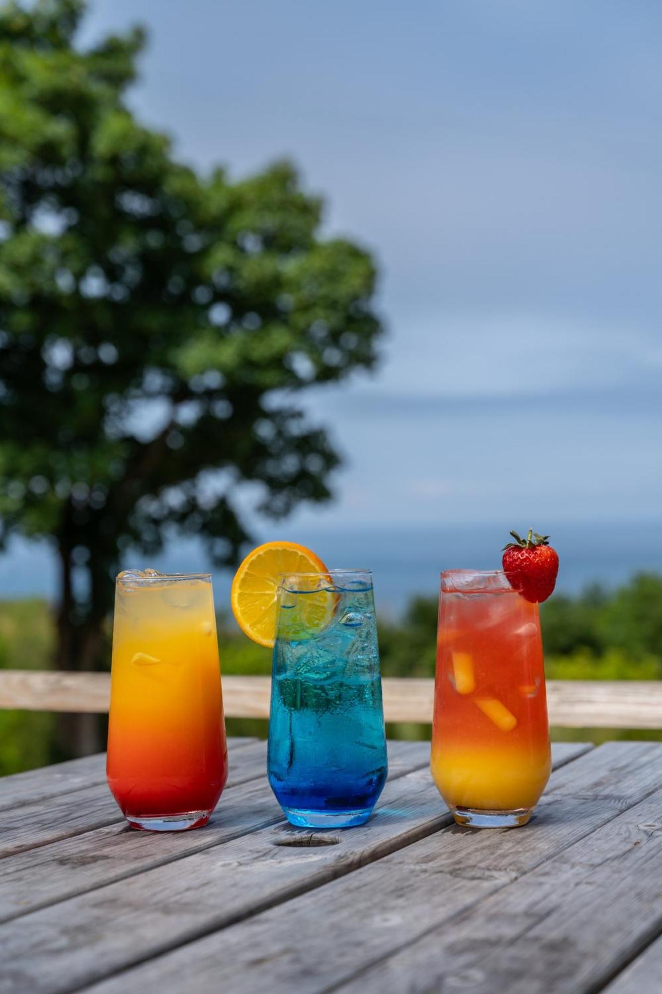 Watermouth Lodges 伊尔弗勒科姆 外观 照片