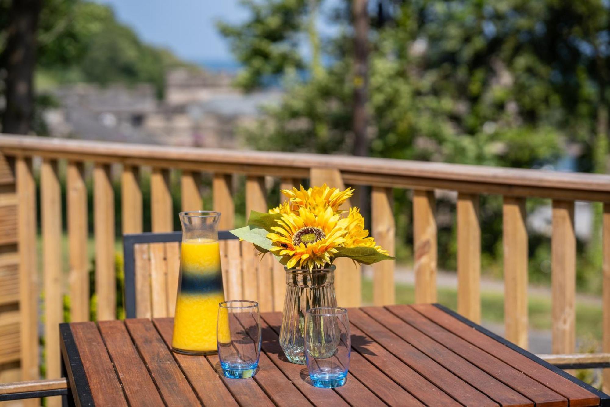 Watermouth Lodges 伊尔弗勒科姆 外观 照片